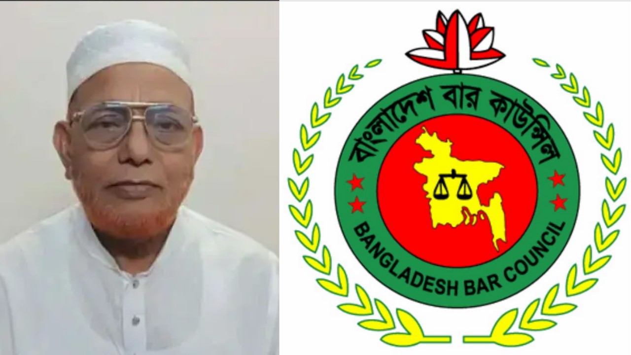 মাসদার হোসেনের আইনজীবী সনদ স্থগিত করলো বার কাউন্সিল